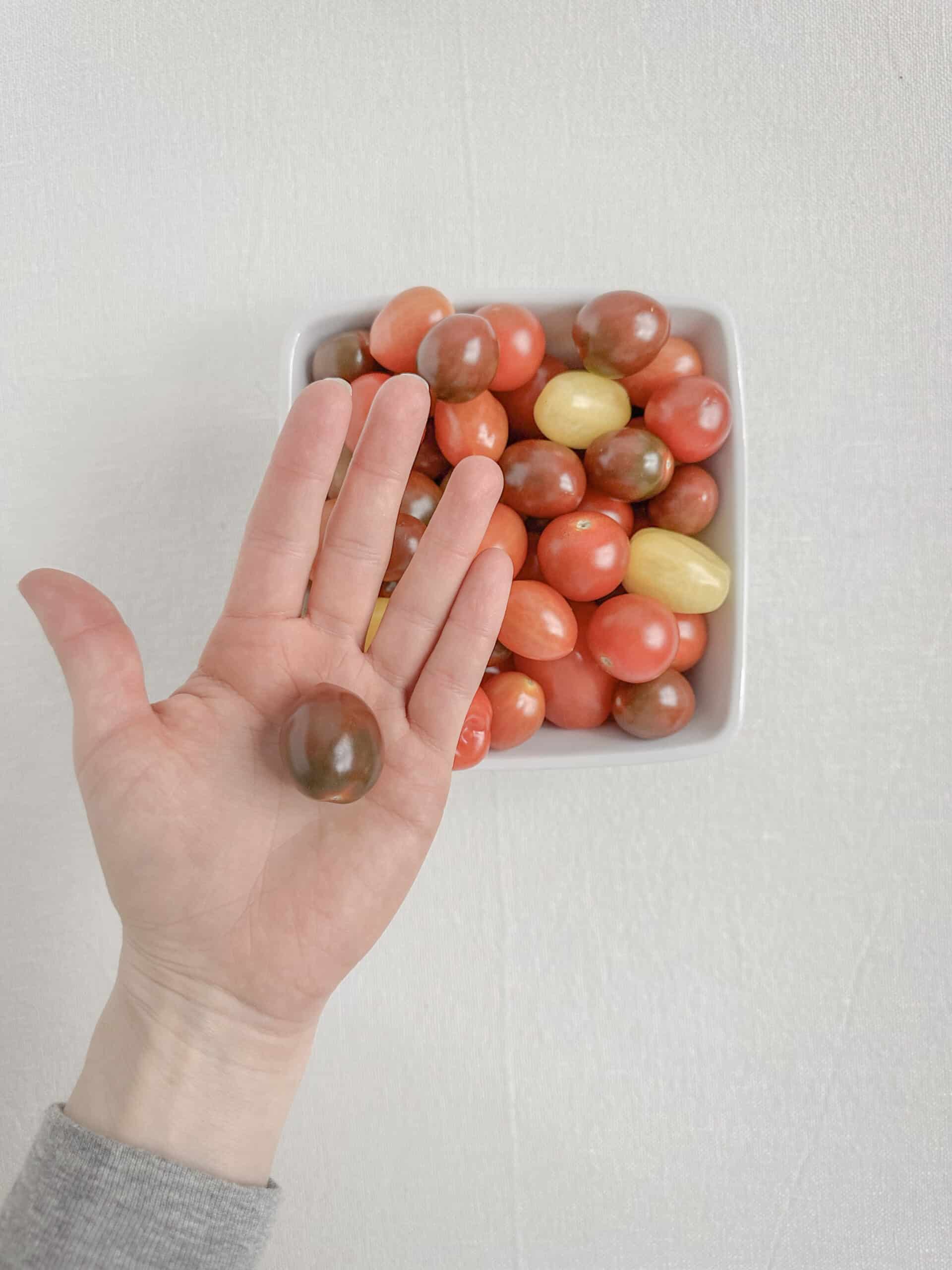 cherry tomatoes in my hands before they're roasted